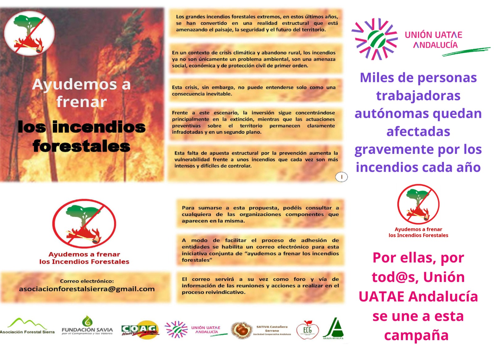 Incendio Niebla