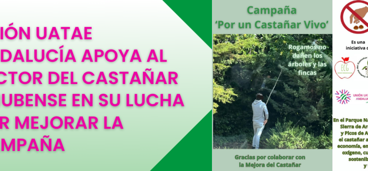 Unión UATAE Andalucía apoya al sector del castañar onubense en su lucha por mejorar la campaña