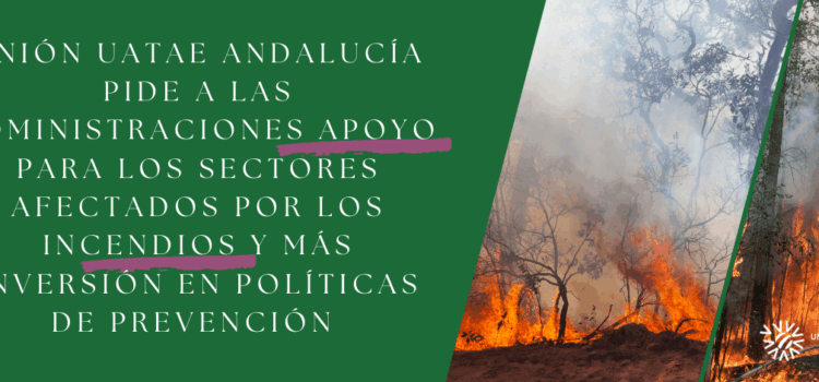 Unión UATAE Andalucía pide a las administraciones apoyo para los sectores afectados por los incendios y más inversión en políticas de prevención 