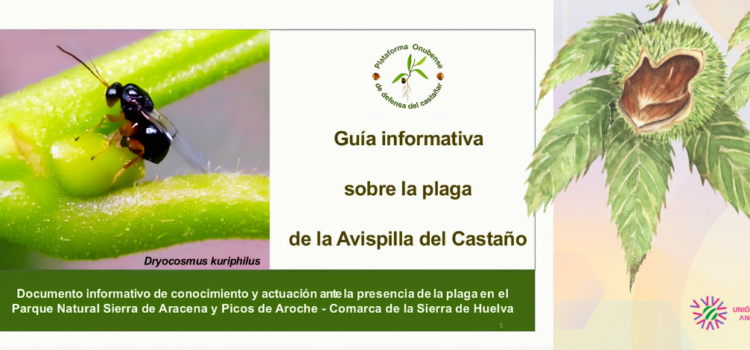 Unión UATAE Andalucía apoya a la Plataforma del Castañar en su lucha contra la avispilla