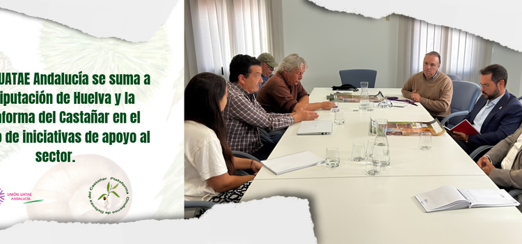 Unión UATAE Andalucía se suma a la Diputación de Huelva y la Plataforma del Castañar en el diseño de iniciativas de apoyo al sector Unión UATAE Andalucía se suma a la Diputación de Huelva y la Plataforma del Castañar en el diseño de iniciativas de apoyo al sector