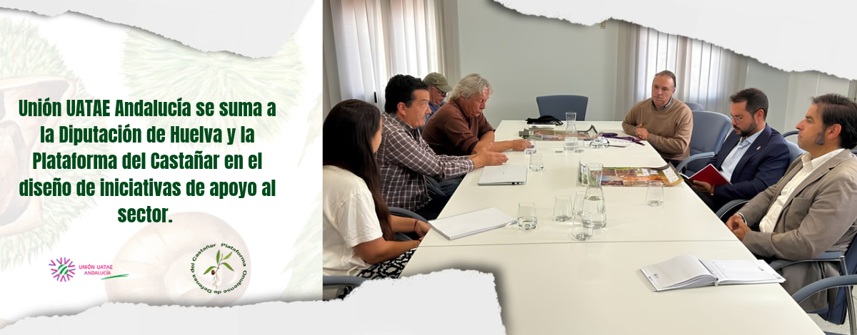 Unión UATAE Andalucía se suma a la Diputación de Huelva y la Plataforma del Castañar en el diseño de iniciativas de apoyo al sector